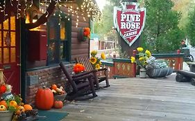 Arrowhead Pine Rose Cabins